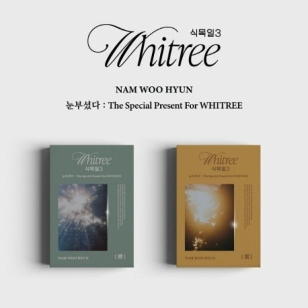 Nam Woo Hyun - The Special Present For Whitree - Random Cover - incl. USB, 7pc